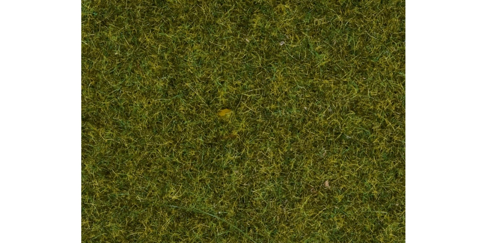 NO08361 Scatter Grass "Medow"