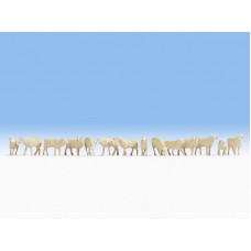 NO15749  Sheep
