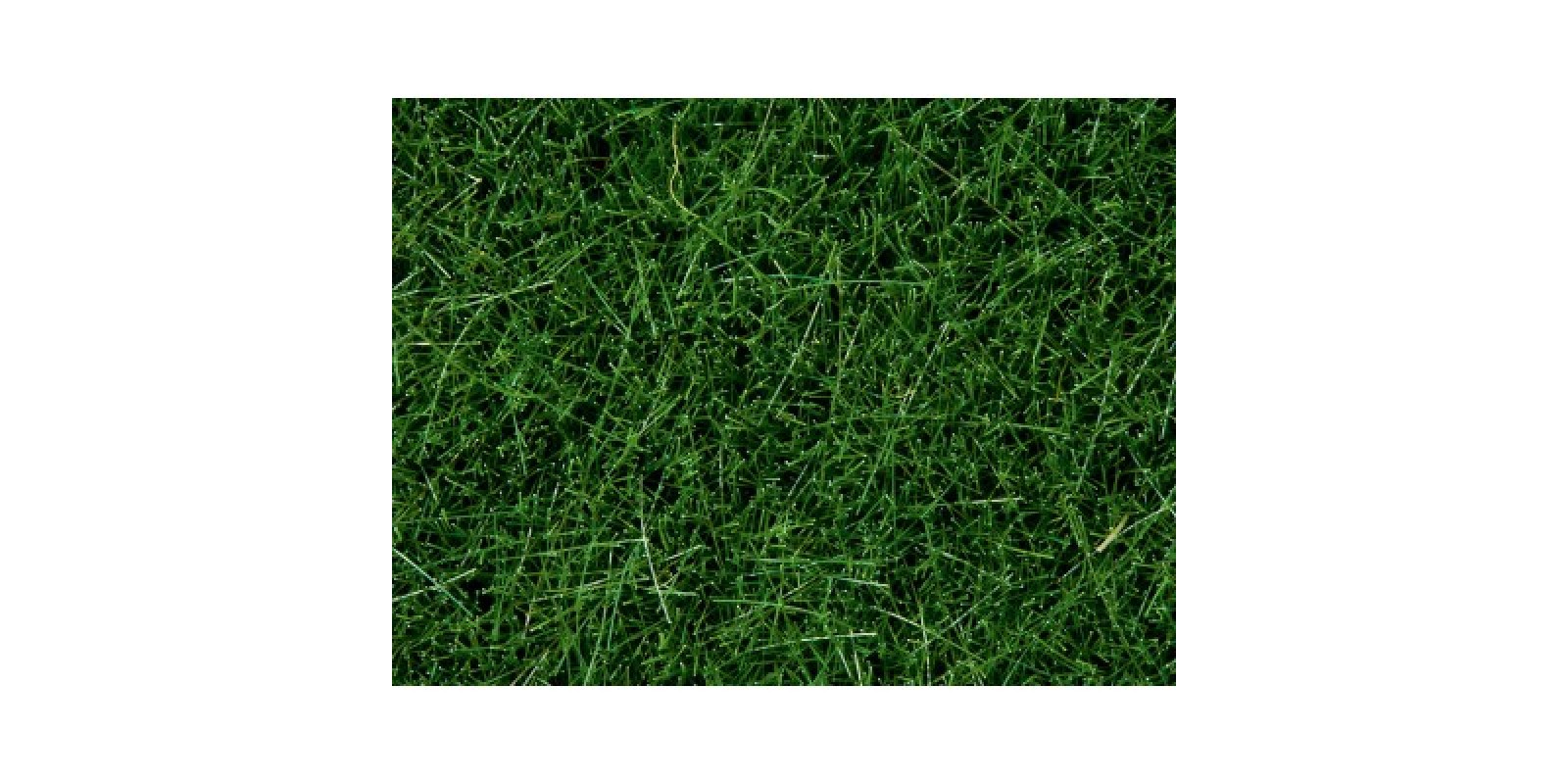 No07094 Wild Grass, dark green, 6 mm 