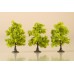 AU70935 Deciduous trees light green 7 cm
