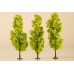 AU70939 Deciduous trees light green 15 cm