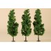 AU70940 Deciduous trees dark green 15 cm