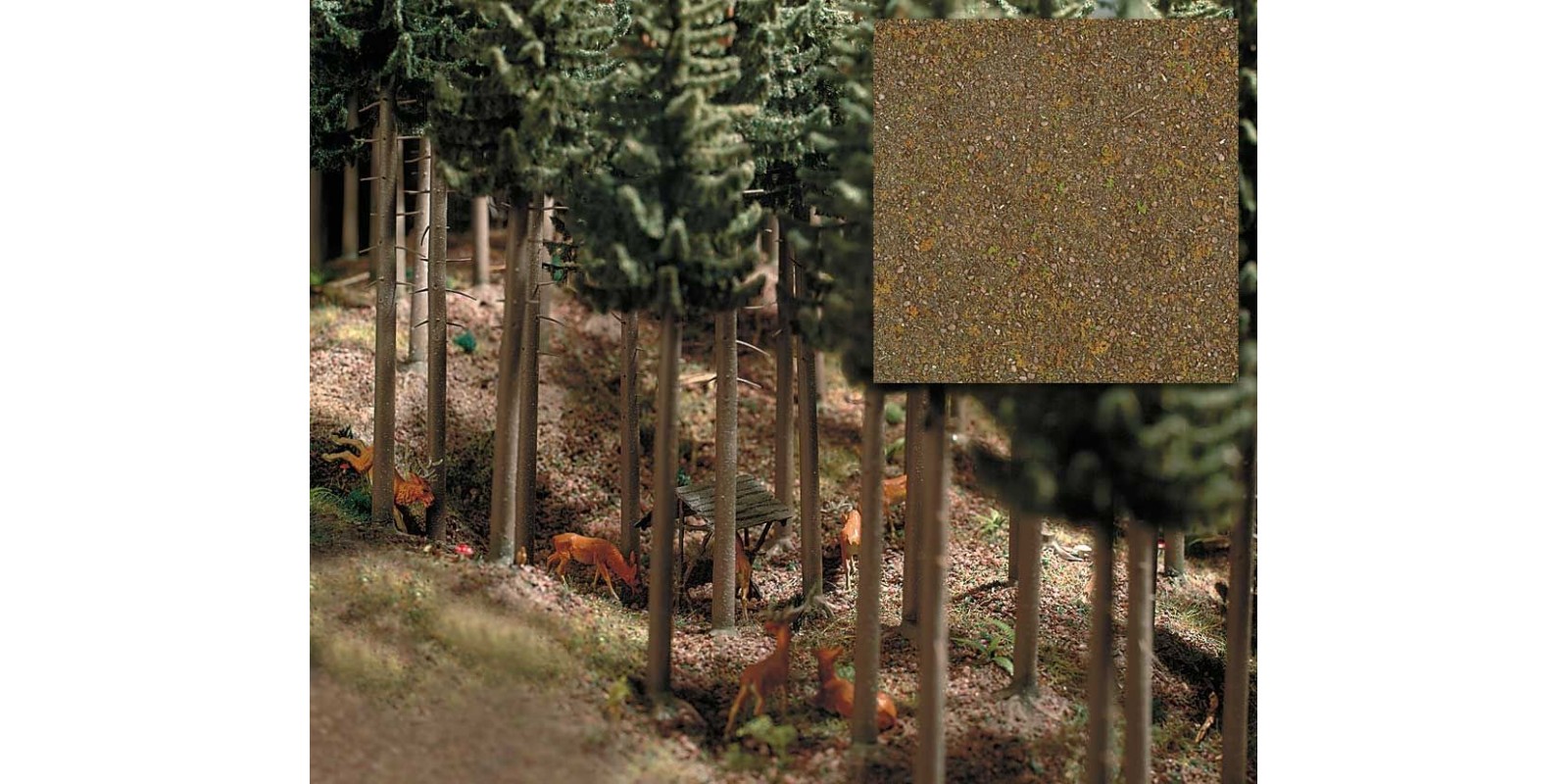 BU7528 Hardwood forest ground cover