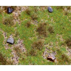 FA180476	 PREMIUM countryside segment, Meadow with boulders