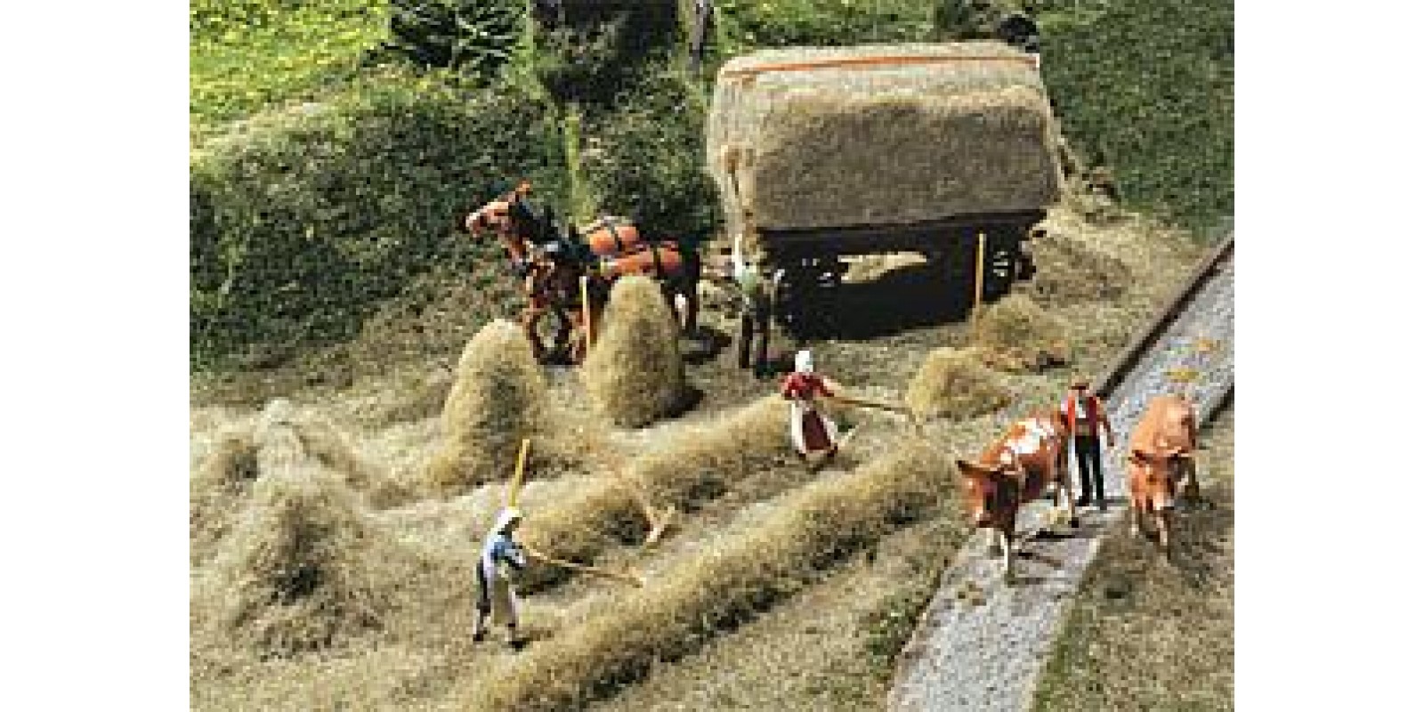 Fa180561 	 Hay-harvest