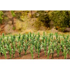 Fa181250 Corn plants 