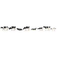 FA151904 Cows, Friesian