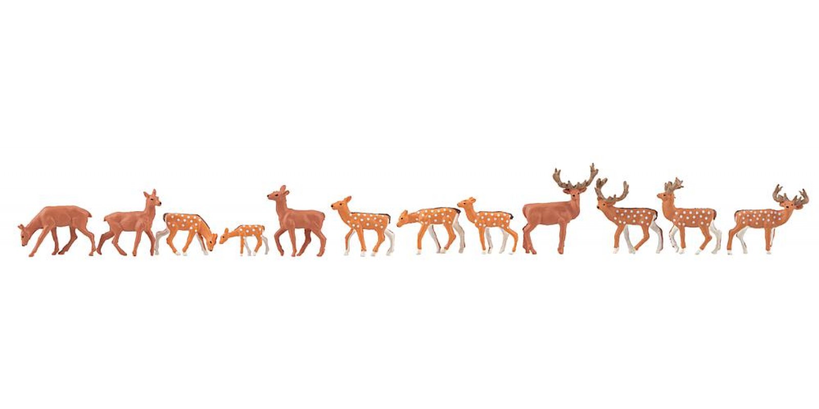 FA151906 Fallow deer, red deer