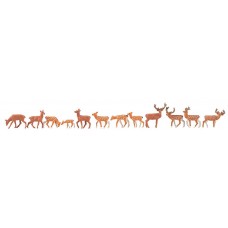 FA151906 Fallow deer, red deer