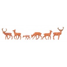 FA151907 Red deer