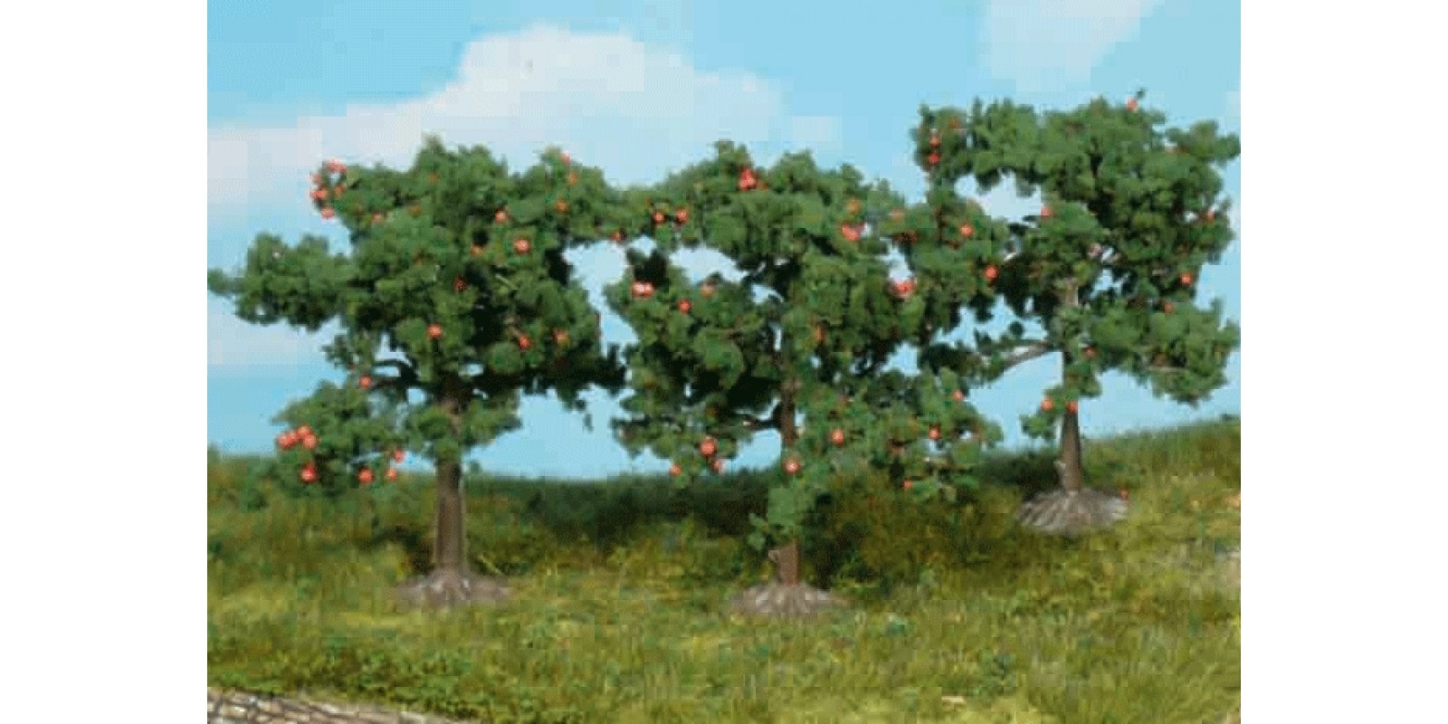 He1160 / 3 Apfelbäume 8 cm