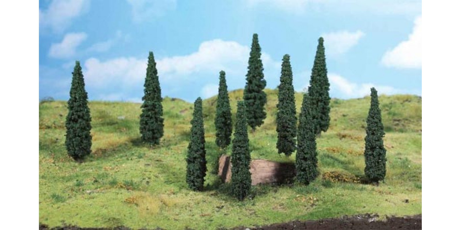 HE1190 8 Cypresses for mediterranean style on your layout 8-10 cm., HO