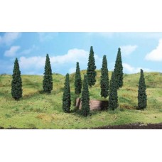 HE1191 5 Cypresses, 12-14 cm 