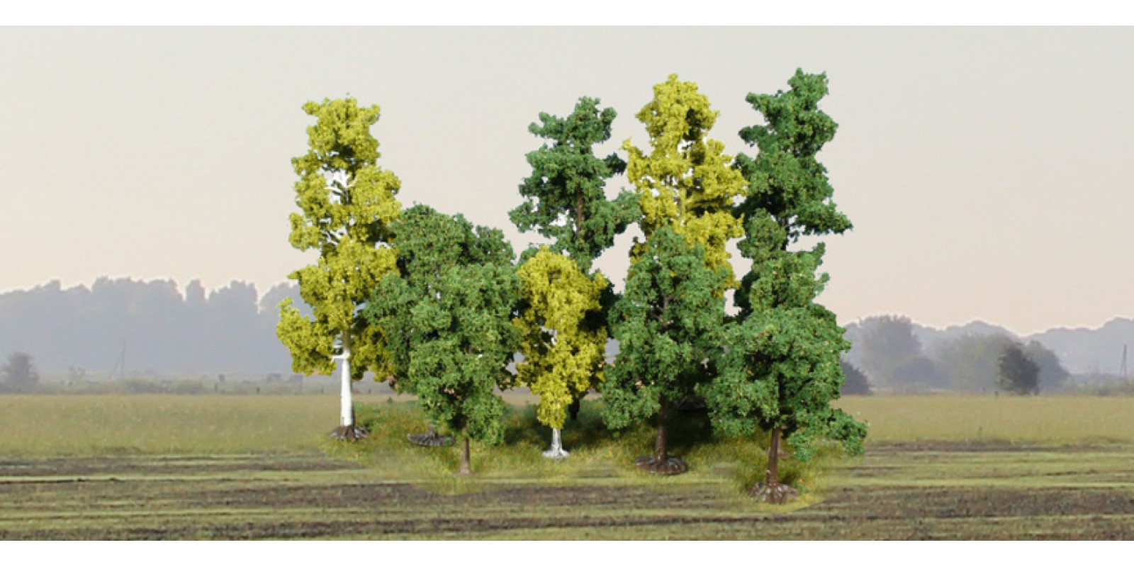 HE1380 40 trees 10-18 cm