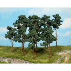 HE1413 14 Scots pine trees, 10-16 cm