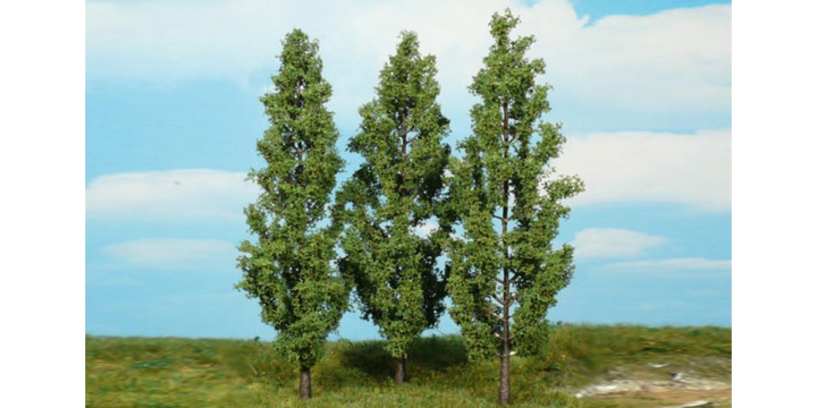 HE1718 3	Poplar trees, 18cm