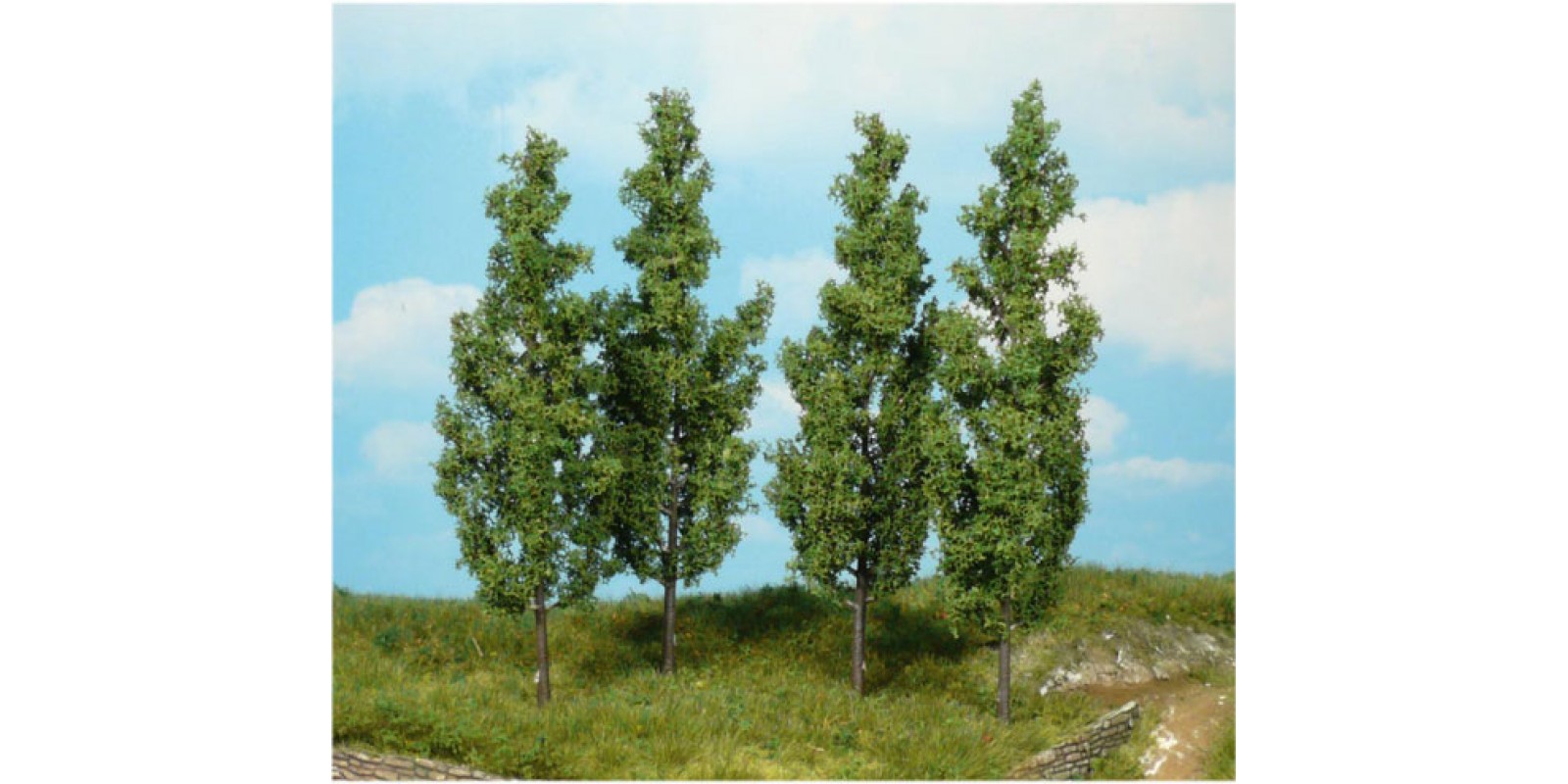 HE1719 4 Poplar trees, 14 cm