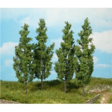HE1719 4 Poplar trees, 14 cm