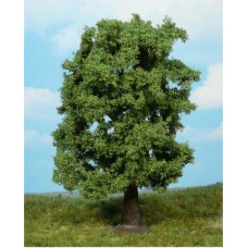HE1741 1 Chestnut tree, 20cm