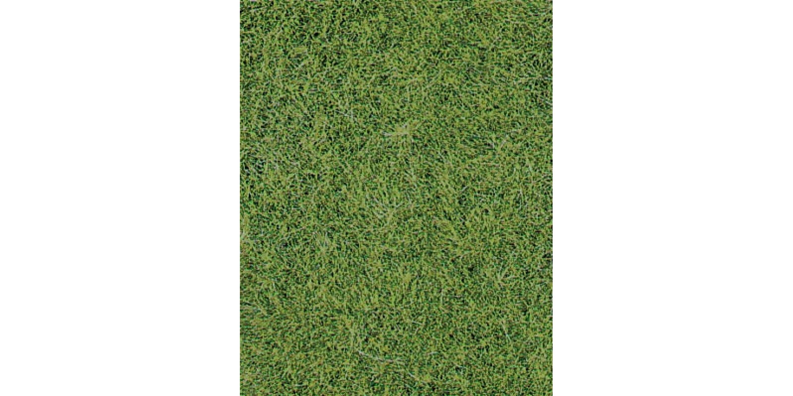 He1870 2 wild grass mat light green 40x25 cm