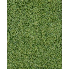 He1870 2 wild grass mat light green 40x25 cm