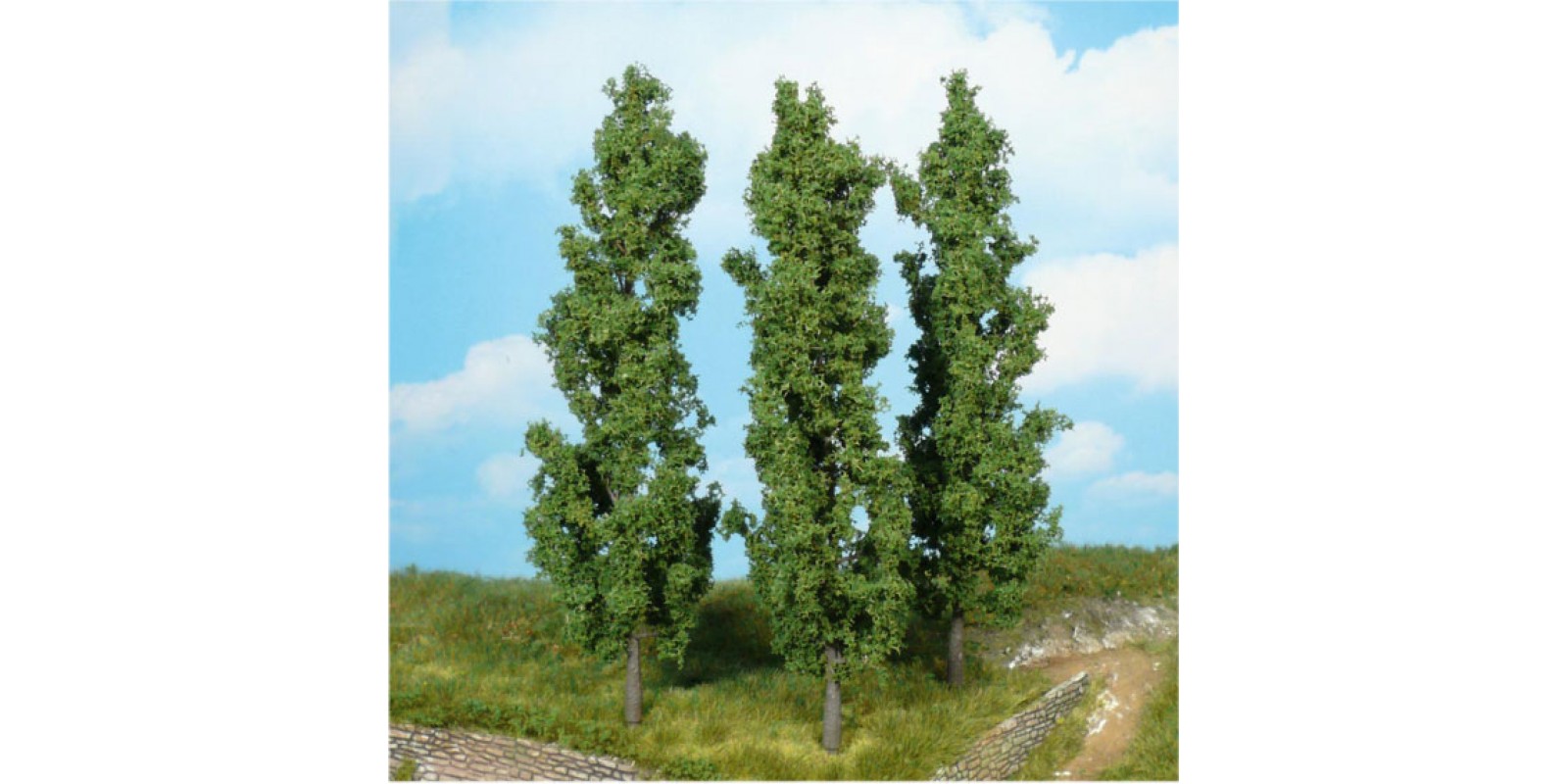 HE1918 3 Poplar trees  from the super artline series, 18cm