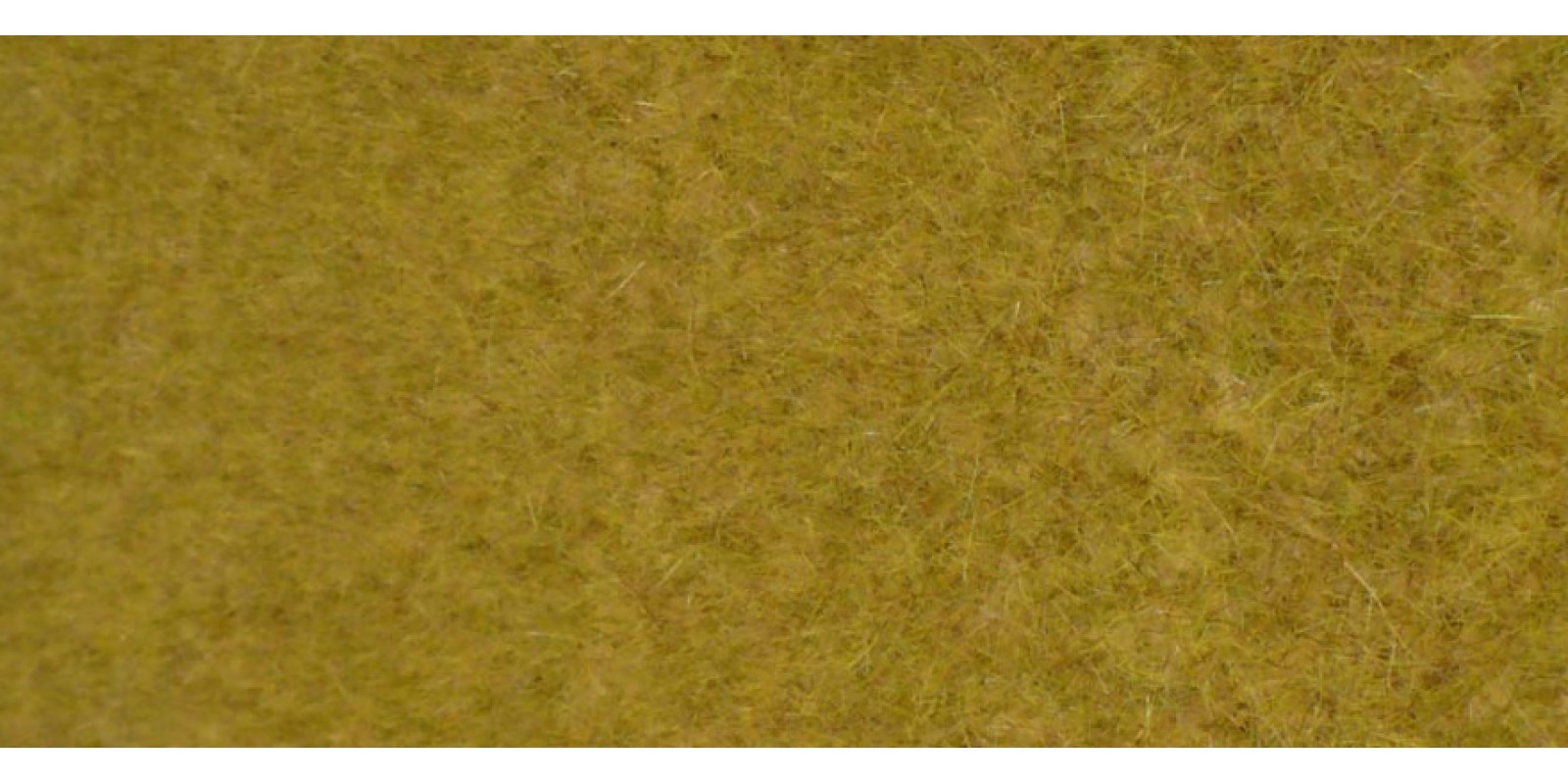 HE1863 Wildgras Savanne, 45 x 17 cm