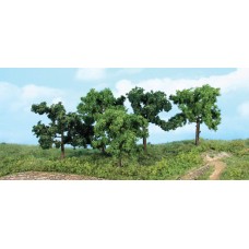 HE1935 5 fruit trees, 8-10 cm