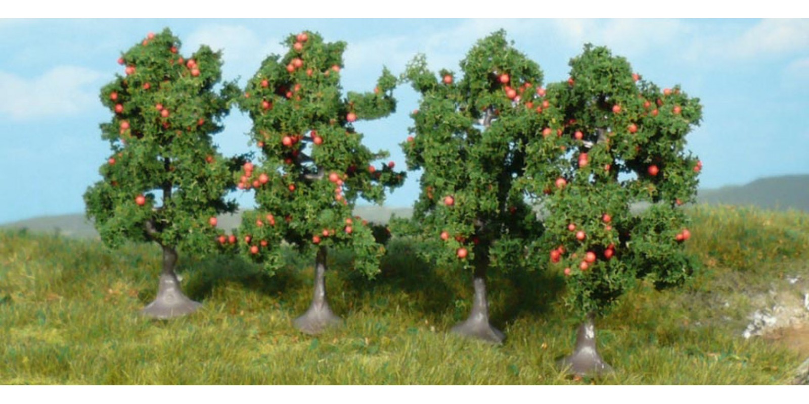 HE1961 Apple trees