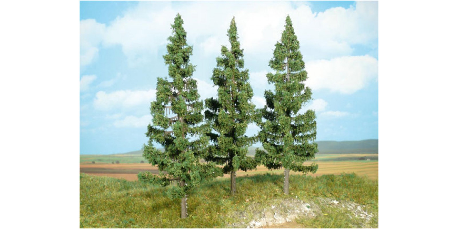 HE2126 3 Spruces, 17cm  