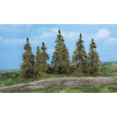 HE2174 Seven larch trees, 7 - 11 cm