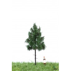 MBR51_4105 Forest spruce 6-10cm