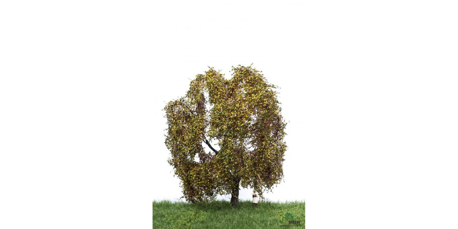 MBR52_2309 Weeping willow 18-22cm