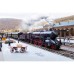 37018 Class S 2/6 Steam Express Locomotive 