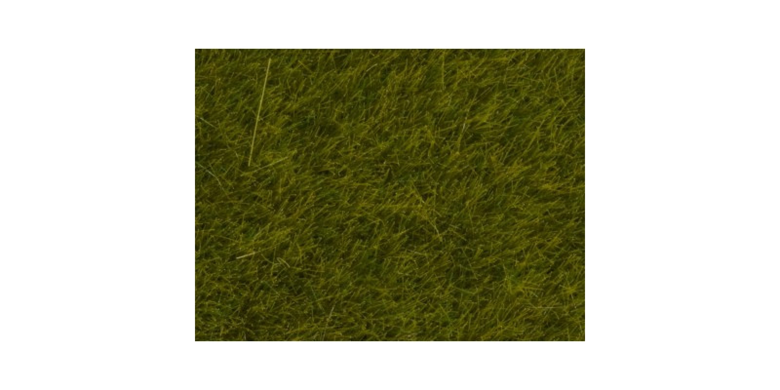 No07090 Wild Grass Meadow, 6 mm 