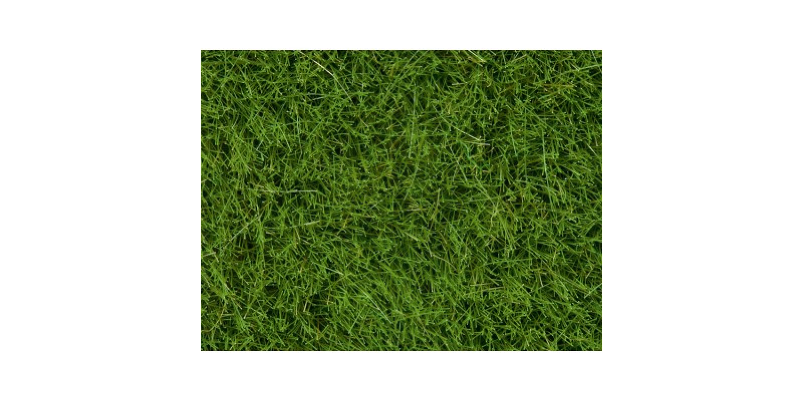 No07093 Wild Grass, bright green, 6 mm 