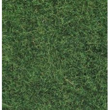 No07102 Wild Grass light green, 50 g 