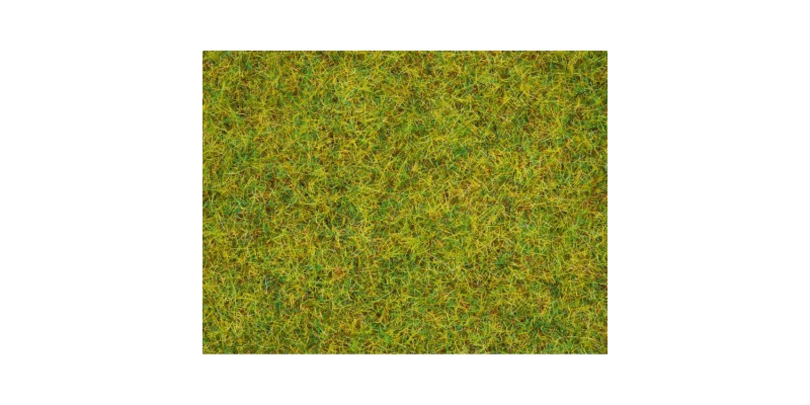 No08151 Scatter Grass Summer Meadow, 2,5 mm