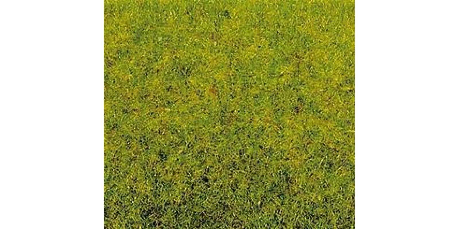 No50210 Scatter Grass Spring Meadow, 100 g 