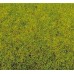 No08300 Grass Spring Meadow, 20 g Bag 