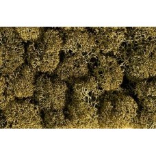 No08600 Lichen, Stone Gray, 35 g Bag 