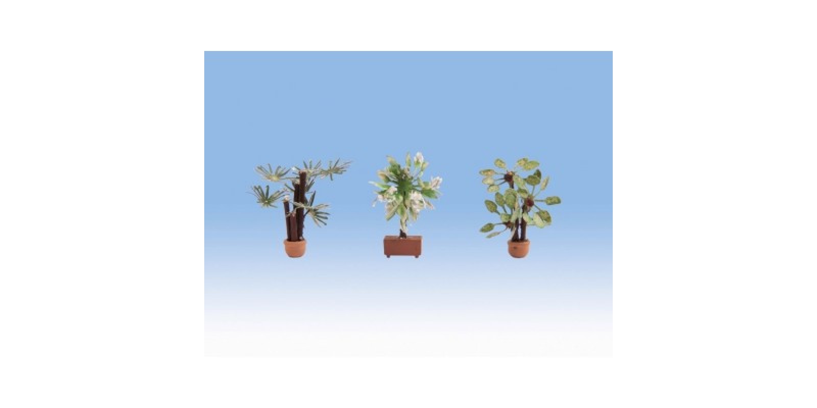 NO14023 Mediterranean Plants