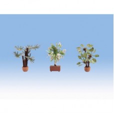 NO14023 Mediterranean Plants