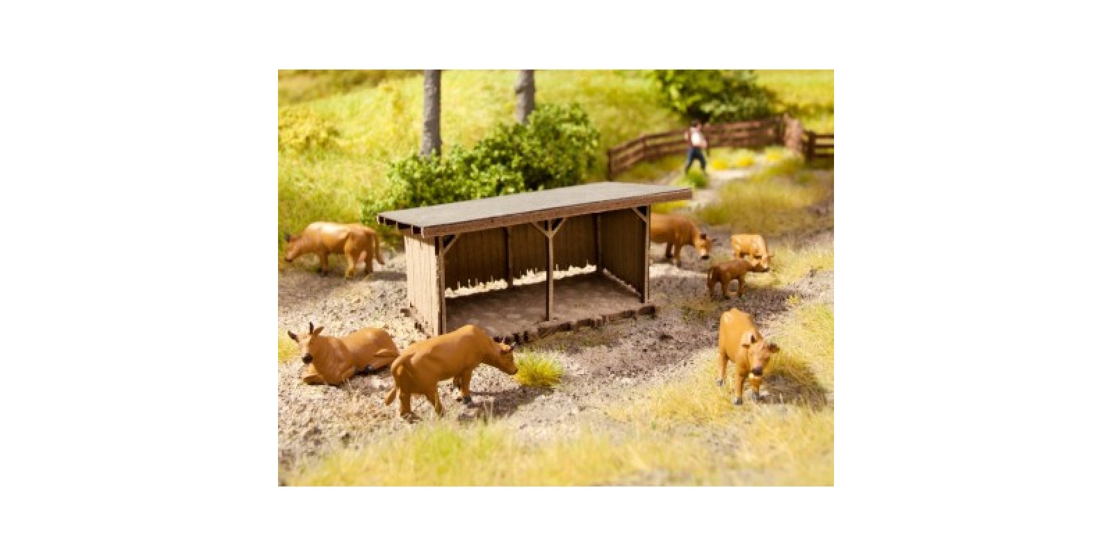 NO14379 Cattle Shelter
