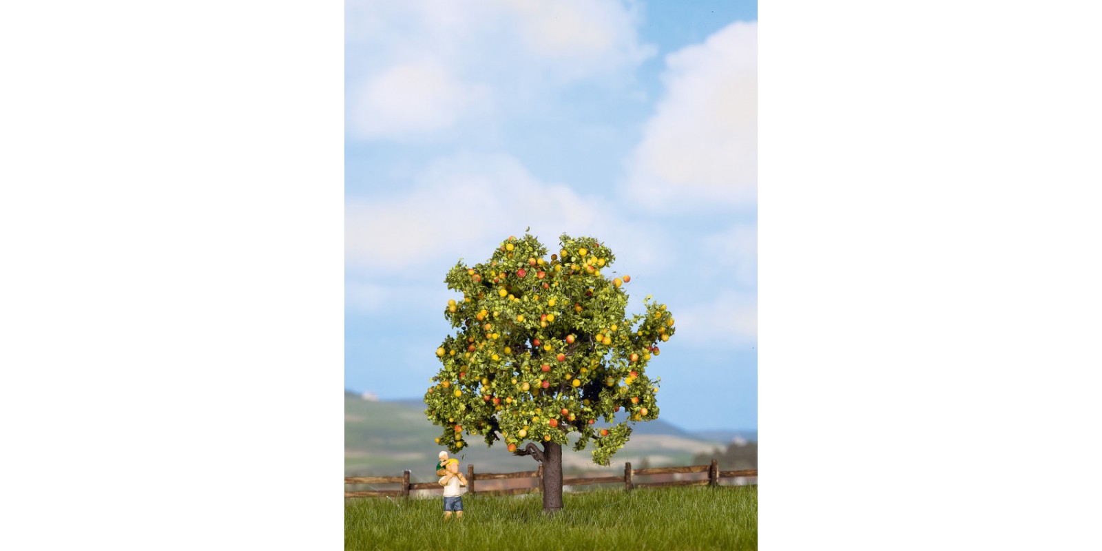 NO21560 Apple Tree