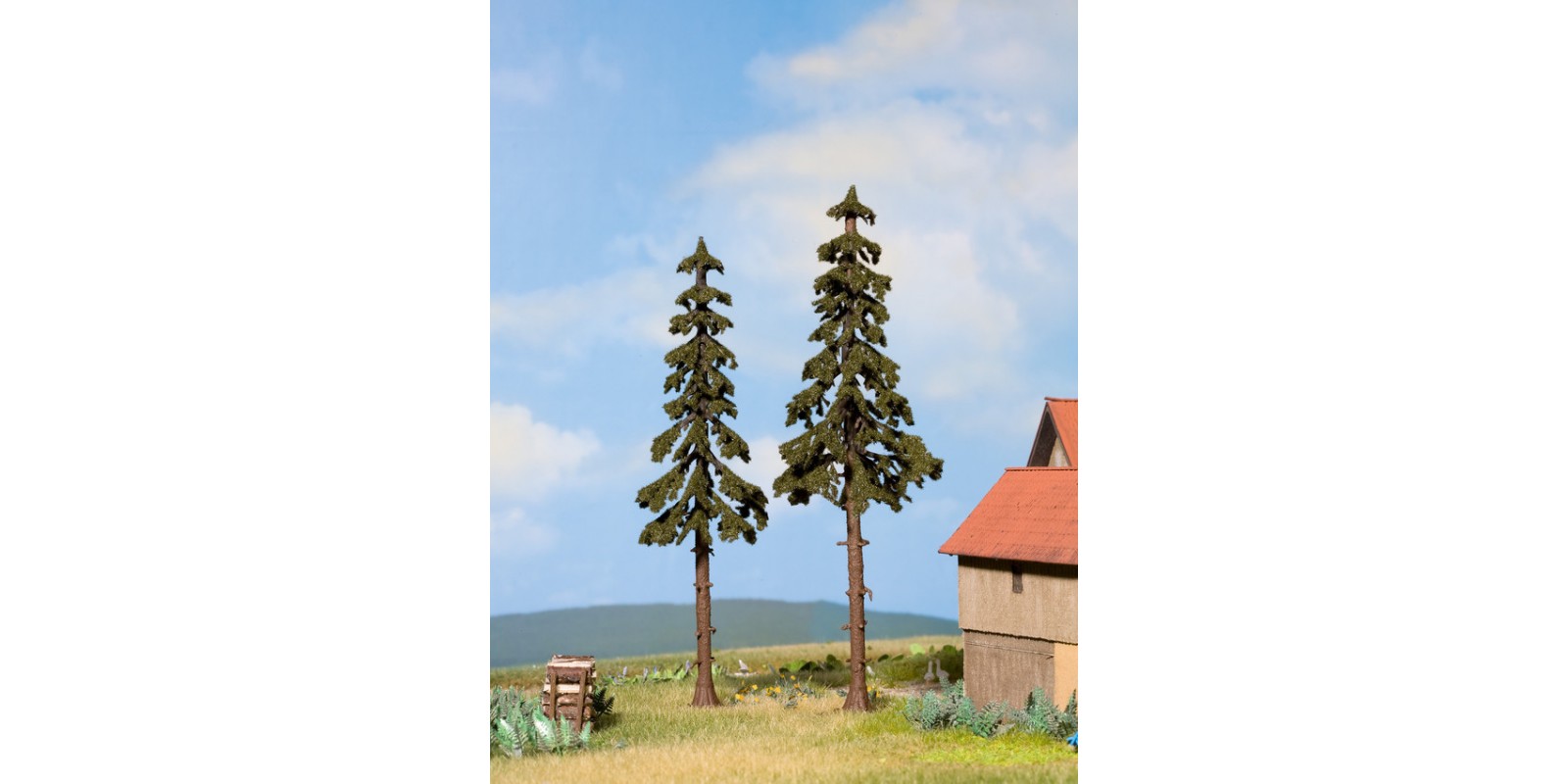 NO21925 High Trunk Spruce Trees, 2 pieces, 12.5 cm and 14 cm high