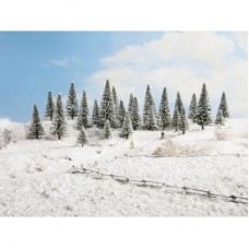 NO26928 Snowy Fir Trees