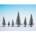 NO26928 Snowy Fir Trees