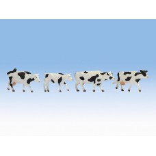 NO17900 Cows, black white