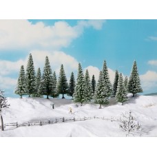 NO24680 Snowy Fir Trees